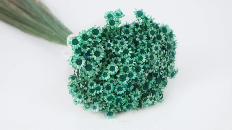Glixia getrocknet - 1 Bund - Emerald green
