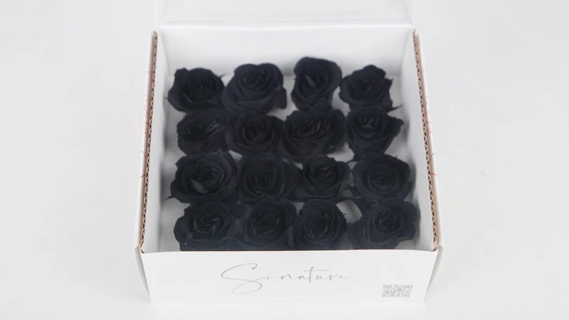 Stabilisierte Rosen 1 cm - 16 Stück - Schwarz