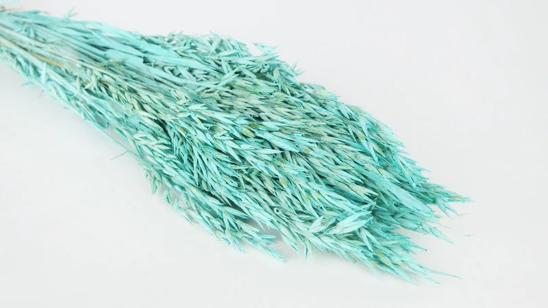 Hafer getrocknet - 1 Bund - Blue aqua