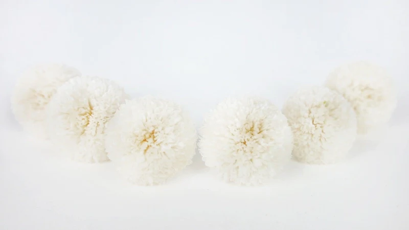 Chrysantheme Pong Pong konserviert Earth Matters - 6 Köpfe - White 010