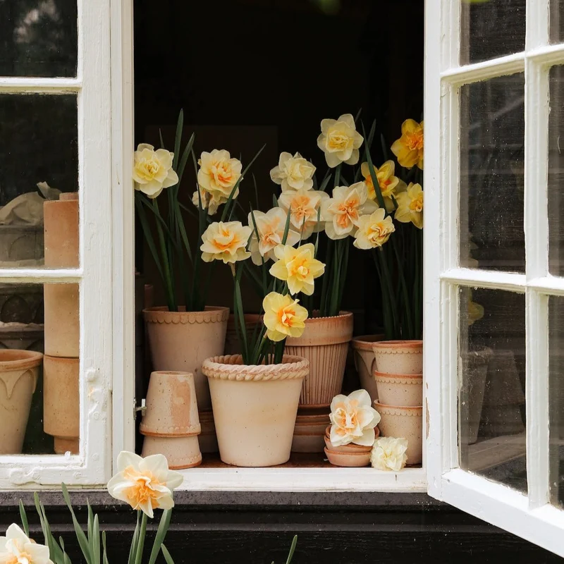 Blumentopf Emilia Grau - Bergs Potter