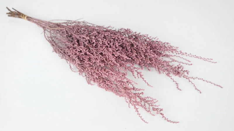 Stoebe konserviert Earth Matters - 1 Bund - Wash pink 102