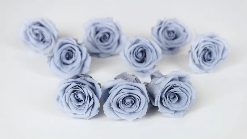 Rosen konserviert Izumi Earth Matters - 9 Köpfe - Dusty blue 631
