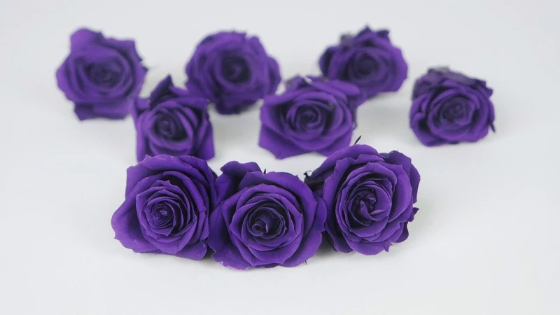 Rosen konserviert Izumi Earth Matters - 9 Köpfe - Grape 461