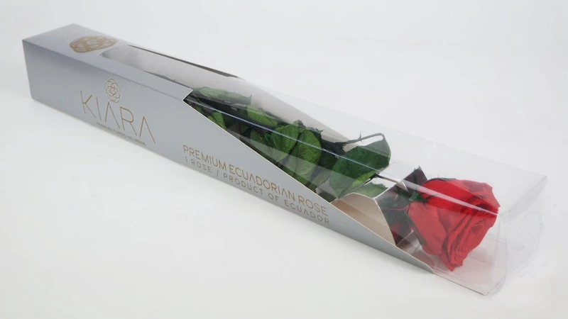 Luxus konservierte Rose mit Stiel 30 cm Kiara - 25 Stück - Vibrant red