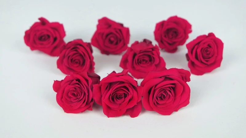 Rosen konserviert Izumi Earth Matters - 9 Köpfe - Queen red 331