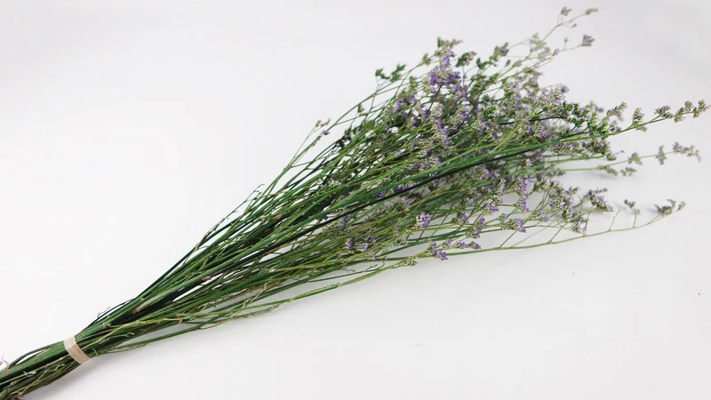 Limonium getrocknet - 1 Bund - Naturfarbe lila