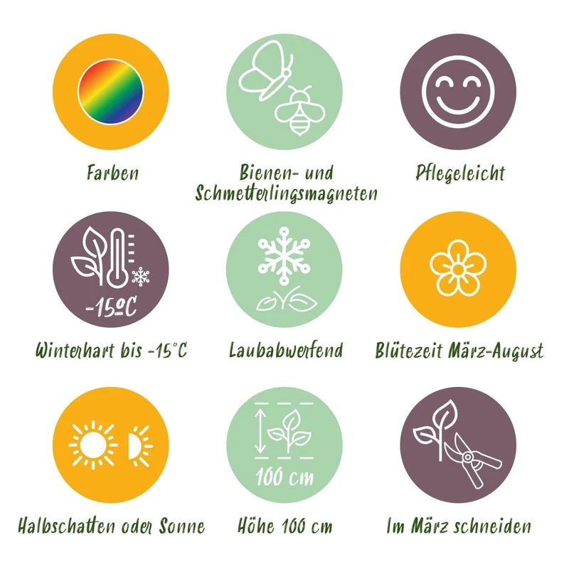 Stauden-Paket - Bienen- und Schmetterlingsanziehend - 24 Stauden - Für 3 m² - Verschiedene Farben - Pflegeleicht - Topf 11 cm