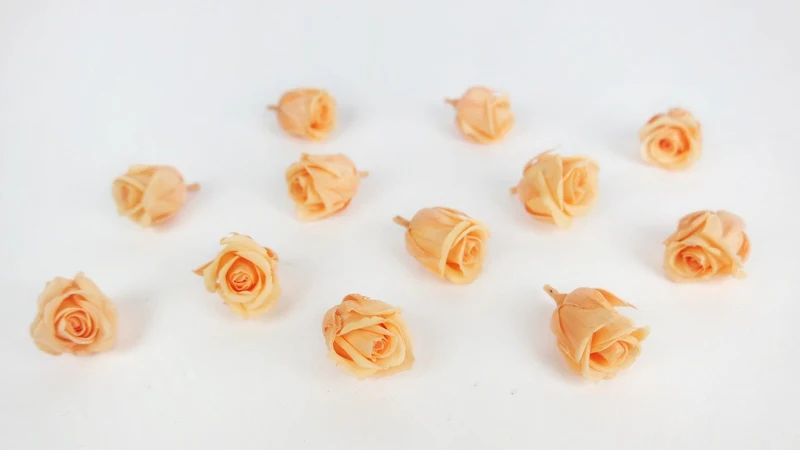 Stabilisierte Rosen Kiara 2 cm - 12 Stück - Perfect peach