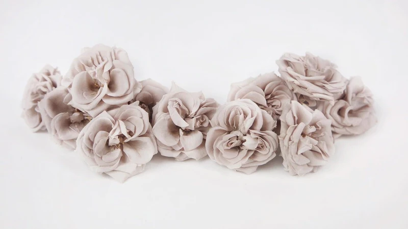 Rosen konserviert French Marianne Earth Matters - 12 Köpfe - Pink beige 081