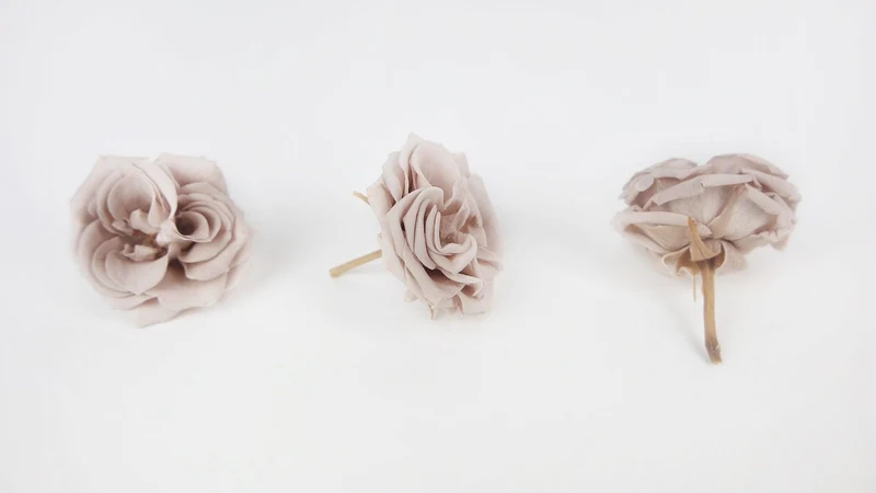 Rosen konserviert French Marianne Earth Matters - 12 Köpfe - Pink beige 081