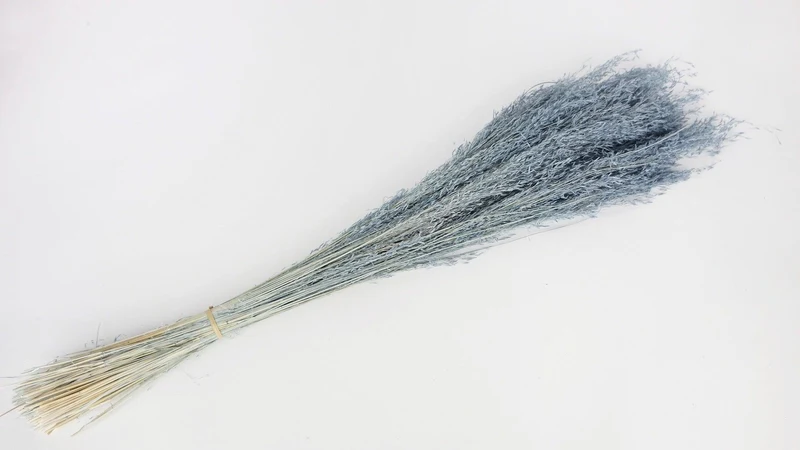 Munni - 1 Bund - Blaugrau