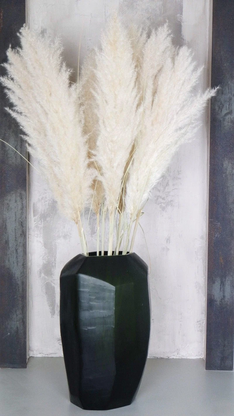 Cortedaria EXTRA - 5 Stängel - Naturfarbe