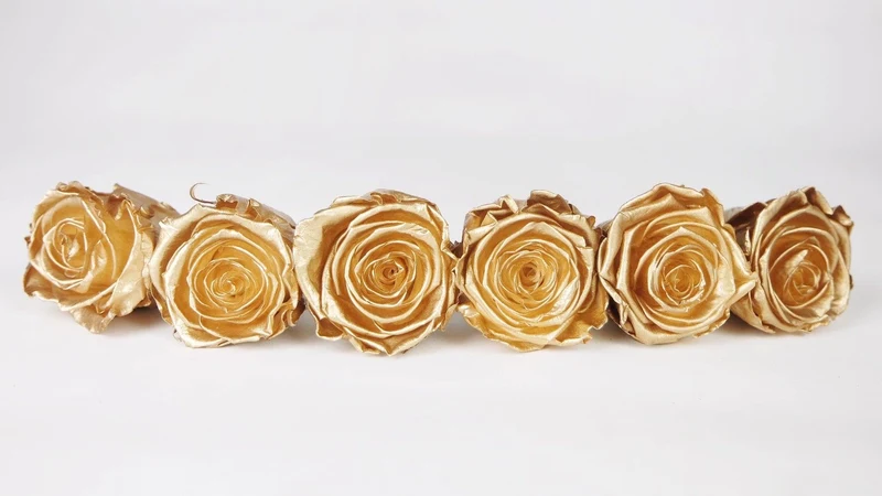 Stabilisierte Rosen Kiara 6 cm - 6 Stück - Gold