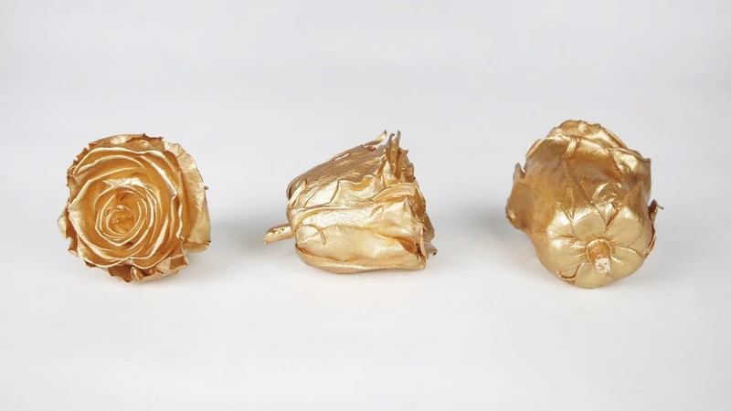 Stabilisierte Rosen Kiara 6 cm - 6 Stück - Gold