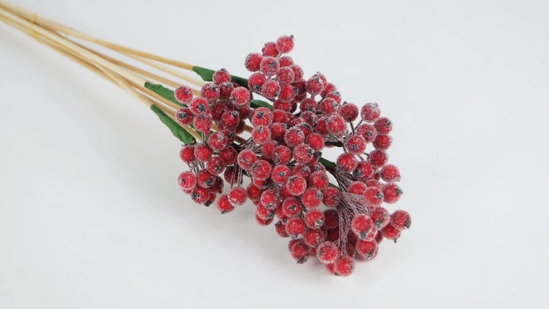 Berry cluster sugar on stem - 1 Bund - Rot