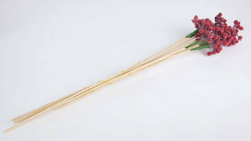 Berry cluster sugar on stem - 1 Bund - Rot