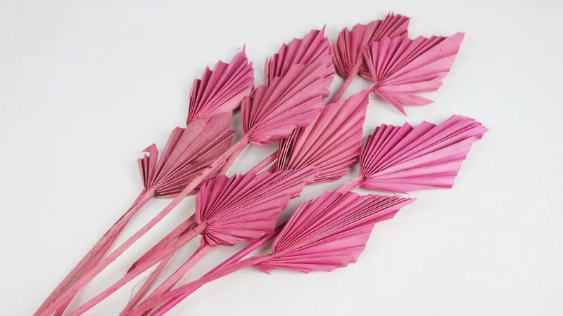 Fächerpalme getrocknet mini S - 10 Stiele - Dusty Pink