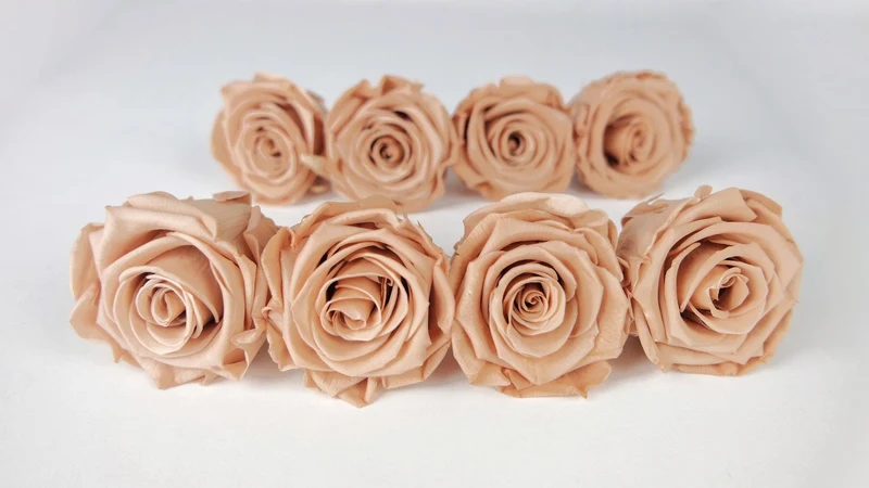 Stabilisierte Rosen Kiara 5 cm - 8 Stück - Nude
