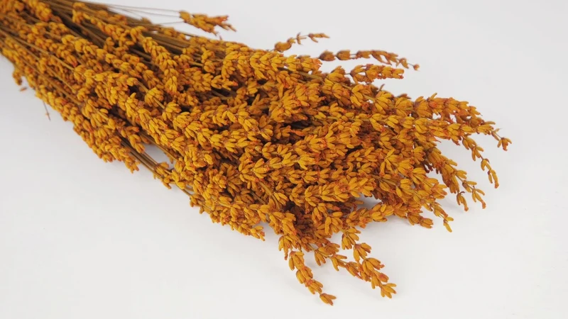 Stabilisierter Lavendel - 1 Bund - Amber