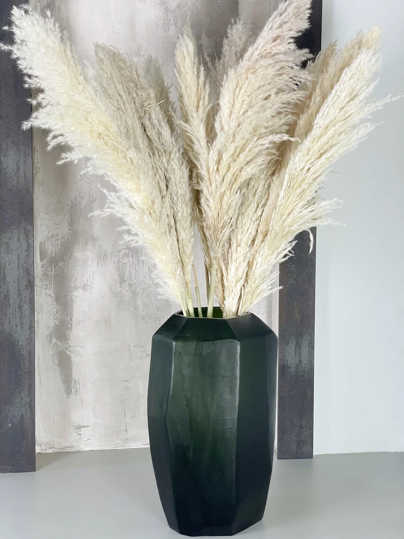 Pampasgras fluffig 115 cm Wedel 60-70 cm - 5 Stängel - Naturfarbe