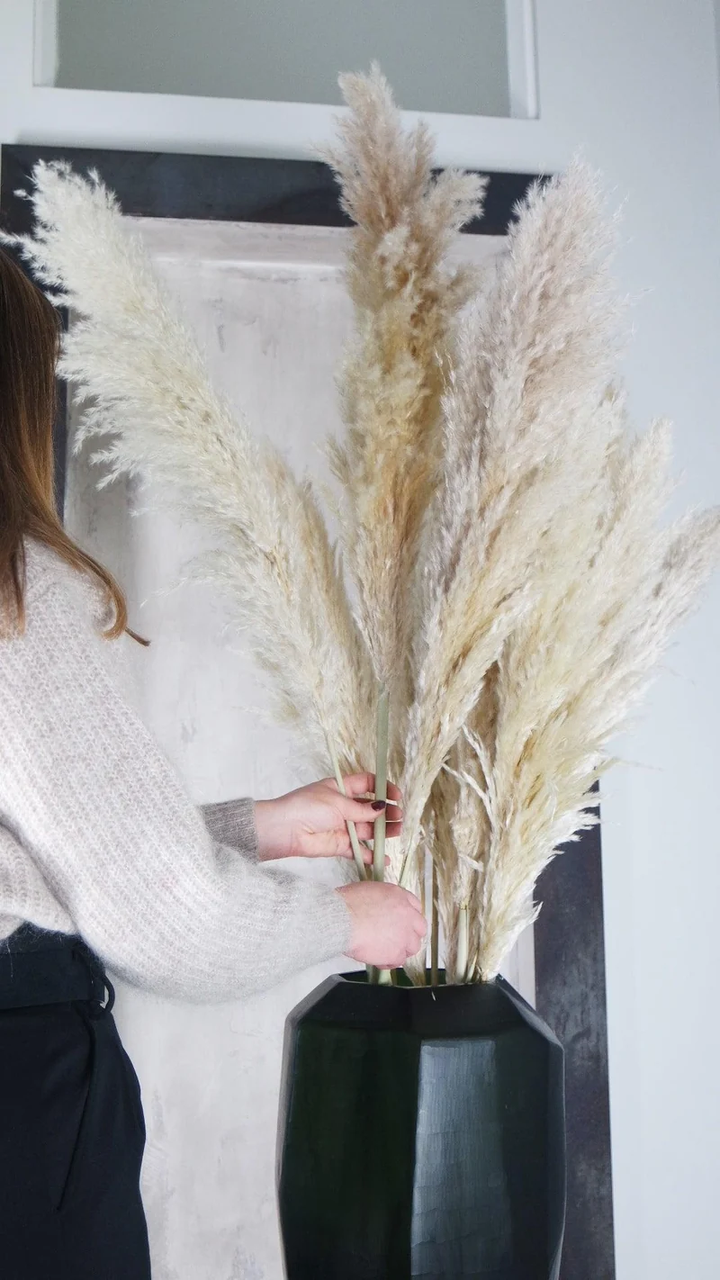 Pampasgras fluffig 115 cm Wedel 60-70 cm - 5 Stängel - Naturfarbe