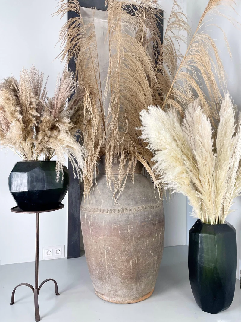 Pampasgras fluffig 115 cm Wedel 60-70 cm - 5 Stängel - Naturfarbe