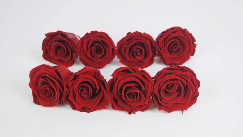 Stabilisierte Rosen Kiara 5 cm - 8 Stück - Royal Red