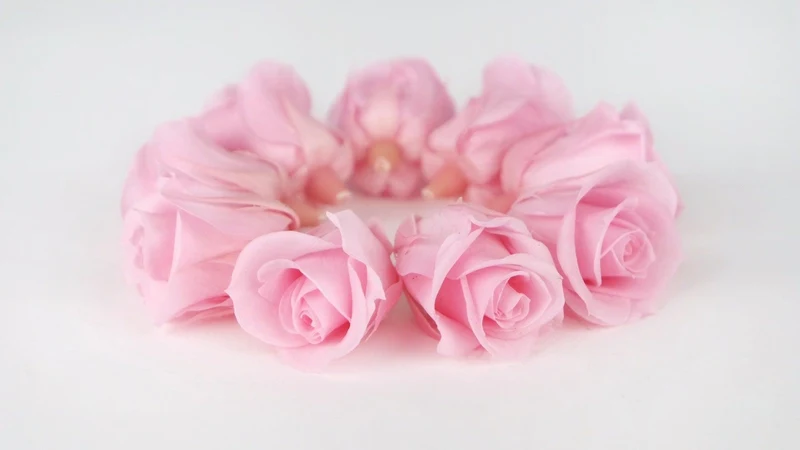 Stabilisierte Rosen Kiara 3 cm - 9 Stück - Bridal pink