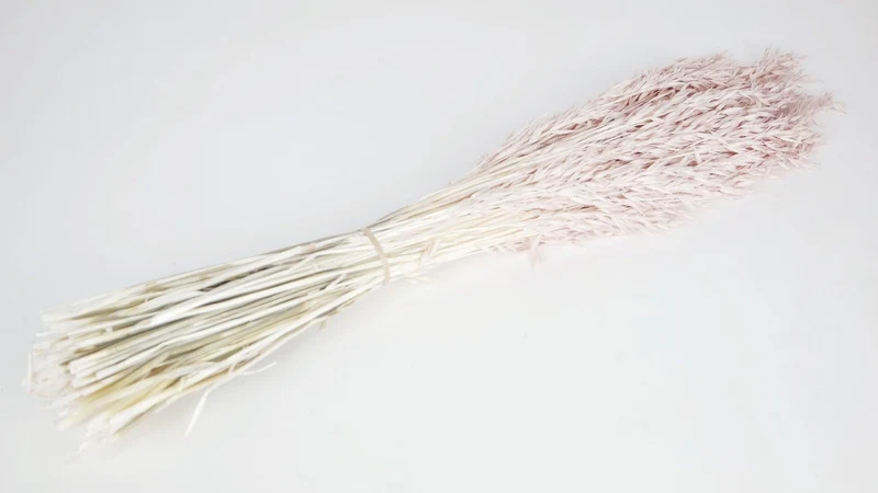 Hafer getrocknet - 1 Bund - Litschi