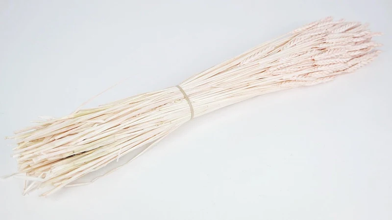 Weizen getrocknet - 1 Bund - Nude