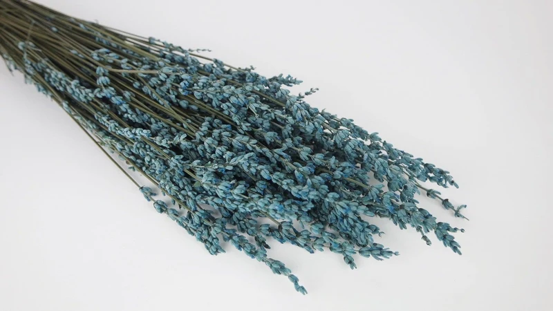 Stabilisierter Lavendel - 1 Bund - Blaugrau