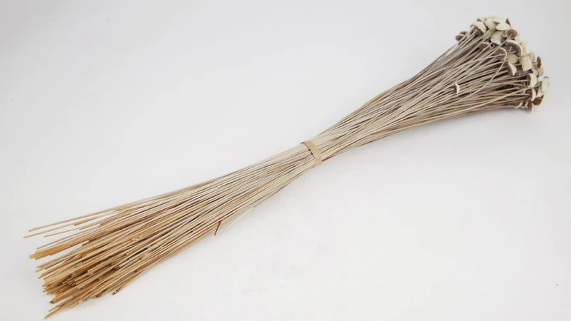 Botao - 1 Bund - Naturfarbe