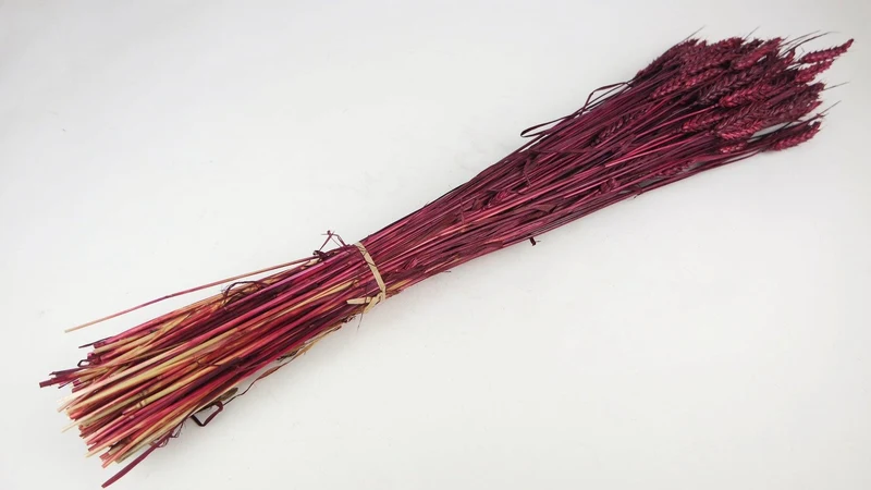 Weizen getrocknet - 1 Bund - Berry
