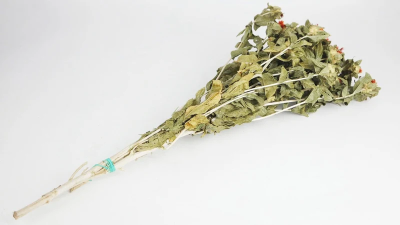 Carthamus getrocknet - 1 Bund - Naturfarbe