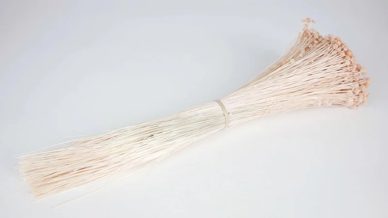 Boton mini getrocknet - 1 Strauß - Nude