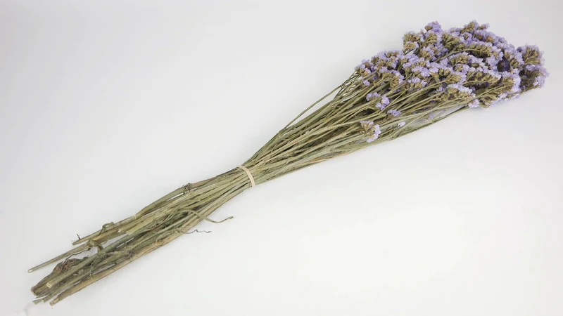 Statice getrocknet - 1 Strauß - Naturfarbe violett