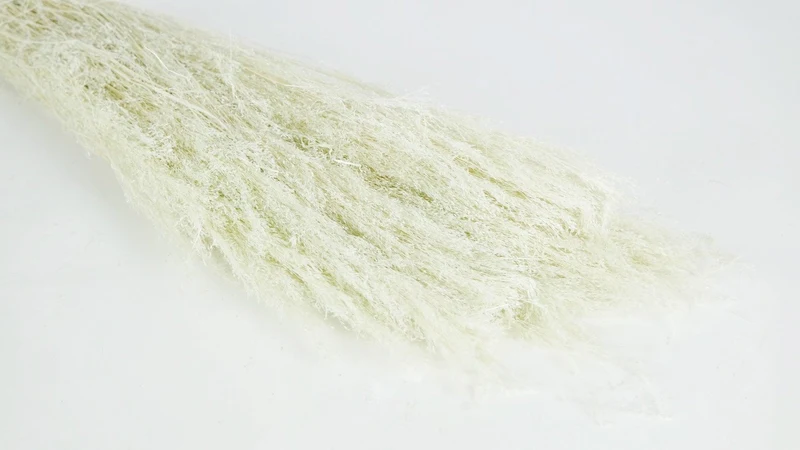 Agrostis nebulosa getrocknet - 1 Strauß - Minze