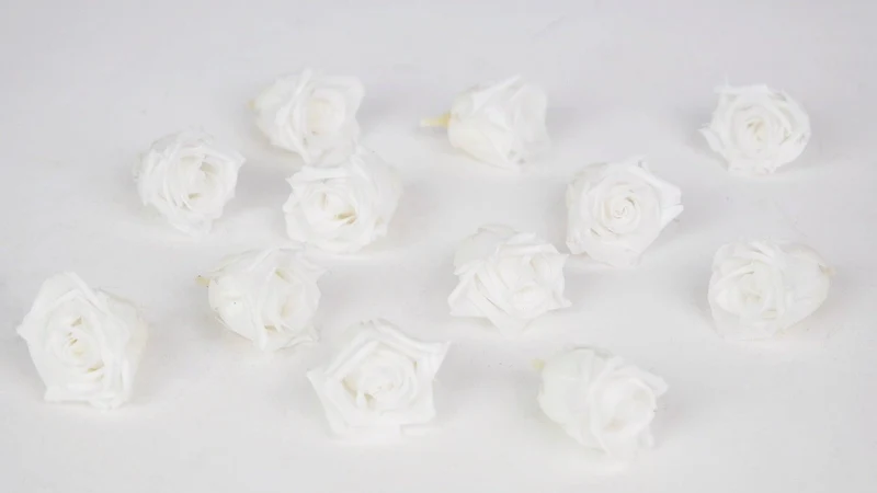 Stabilisierte Rosen Kiara 2 cm - 12 Stück - Pure white