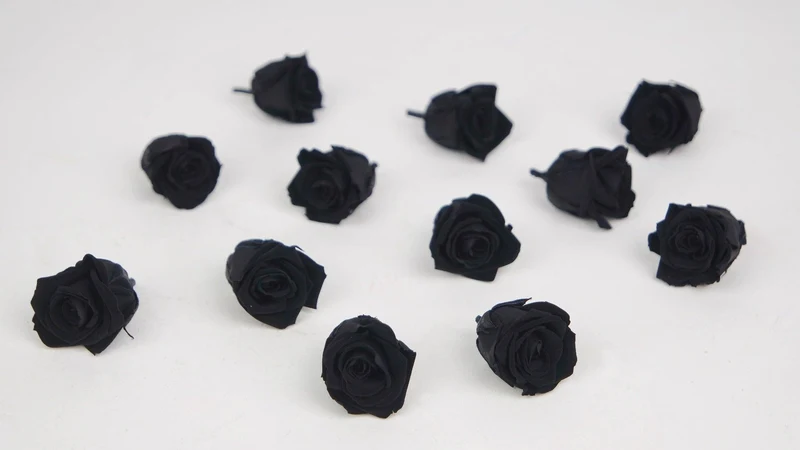 Stabilisierte Rosen Kiara 2 cm - 12 Stück - Black beauty