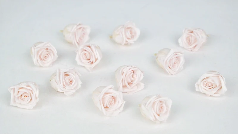 Stabilisierte Rosen Kiara 2 cm - 12 Stück - Pink blush