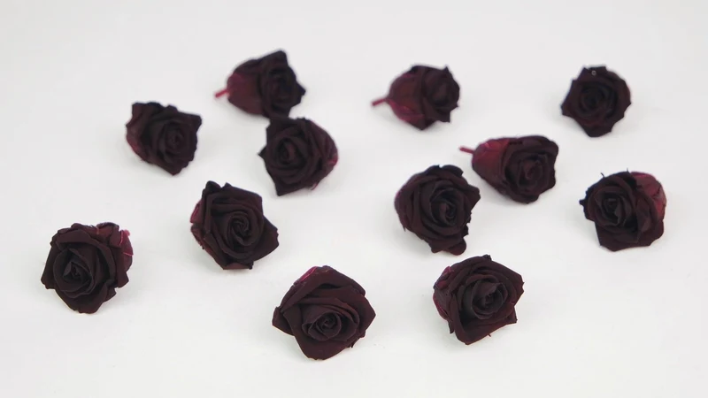 Stabilisierte Rosen Kiara 2 cm - 12 Stück - Bordeaux