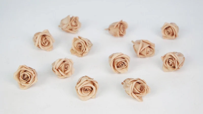 Stabilisierte Rosen Kiara 2 cm - 12 Stück - Nude