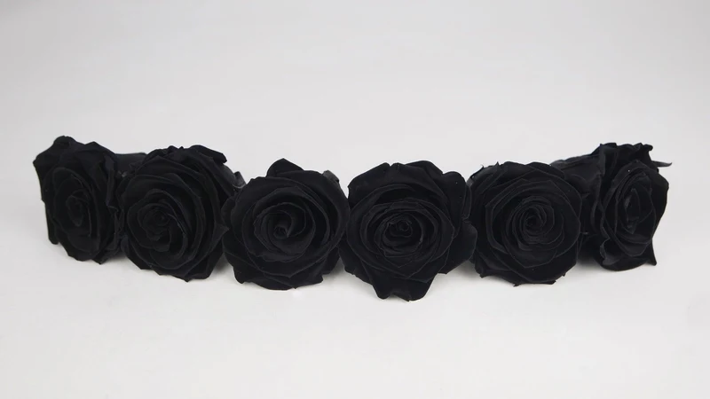 Stabilisierte Rosen Kiara 6 cm - 6 Stück - Black beauty