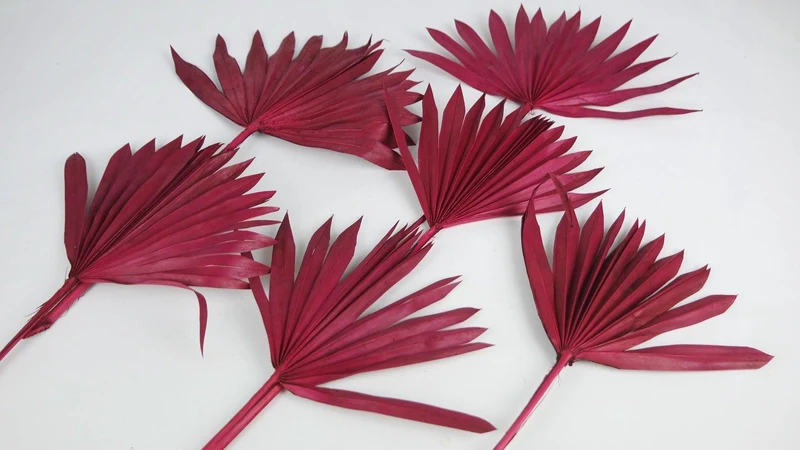 Palm Sun - 6 Stiele - Berry