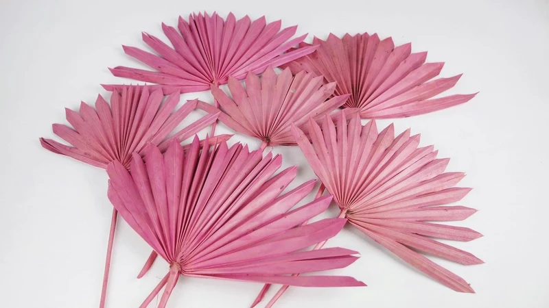 Palm Sun - 6 Stiele - Dusty pink