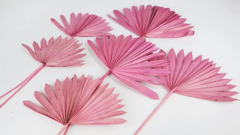 Palm Sun - 6 Stiele - Dusty pink