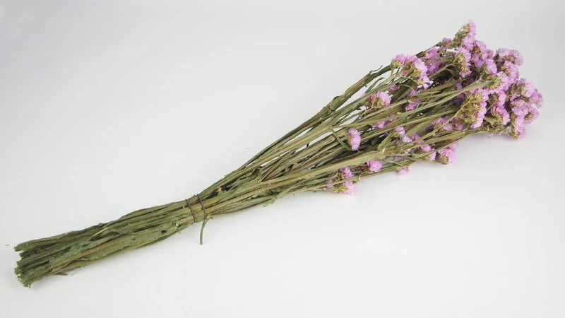 Statice getrocknet - 1 Strauß - Naturfarbe rosa