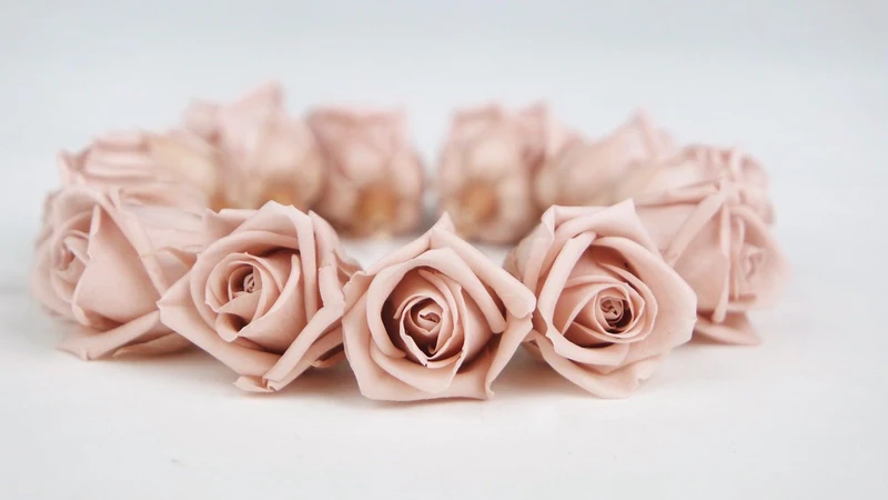 Stabilisierte Rosen Kiara 2 cm - 12 Stück - Antique pink