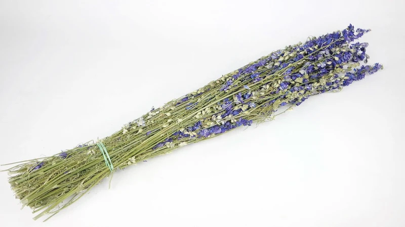Delphinium - 1 Strauß - Naturfarbe violett